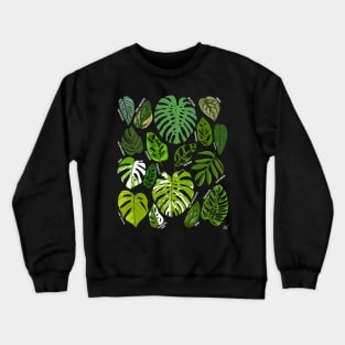 Monstera Species Houseplant Plant Lover Albo Thai Con Dubia Crewneck Sweatshirt